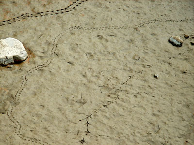 c0017802_21104090.jpg