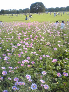 f0154002_0143079.jpg