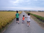 c0151903_21402347.jpg