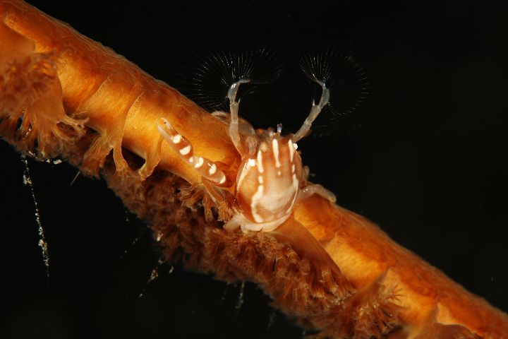 b0110406_237435.jpg