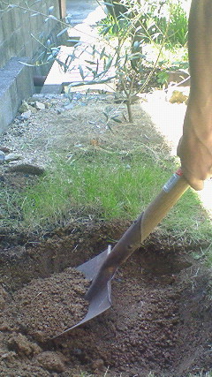 c0205806_1583534.jpg