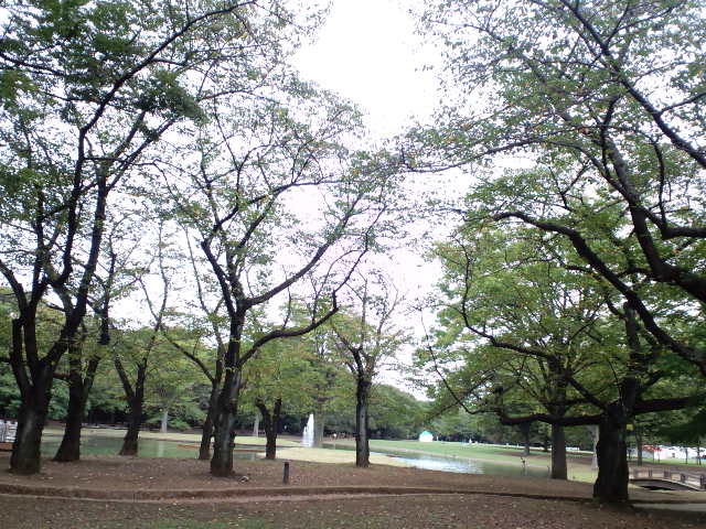 a0088007_8434631.jpg