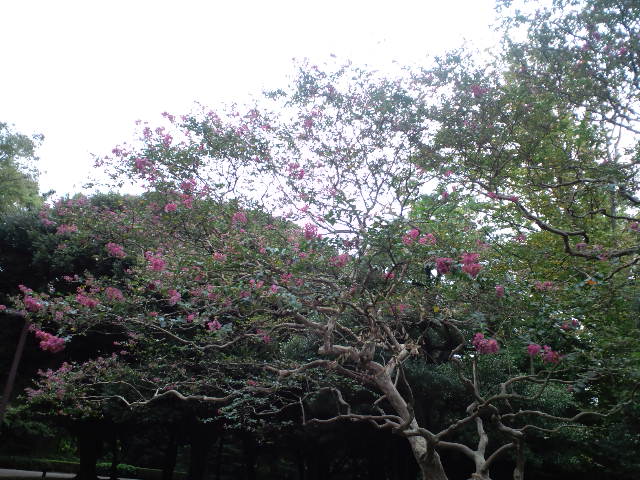 a0088007_844131.jpg
