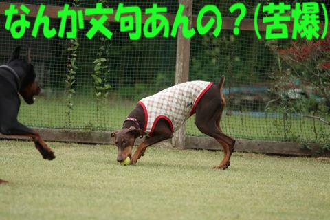 e0100007_13531377.jpg