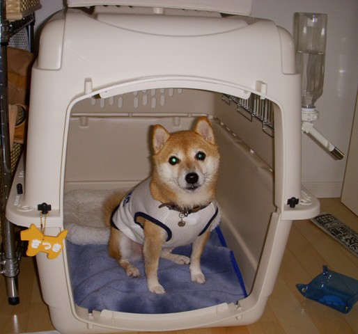 f0004309_21204861.jpg