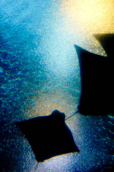 b0150811_215399.jpg