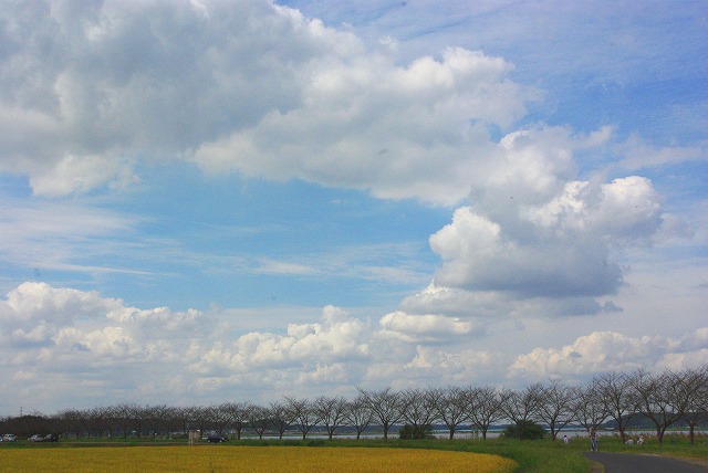 d0147812_14154658.jpg