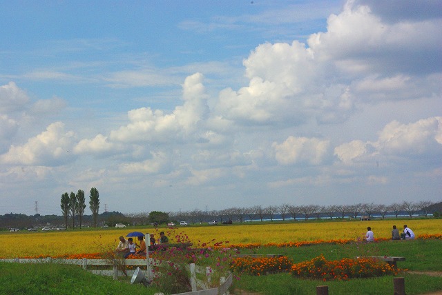 d0147812_145319.jpg