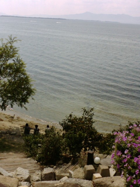 e0099212_21413775.jpg