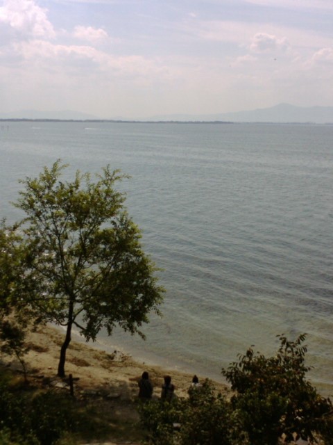 e0099212_21414423.jpg