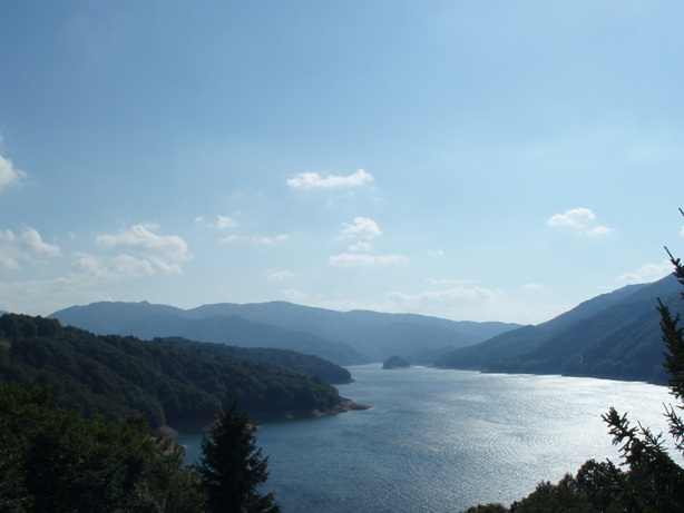 d0004813_21234217.jpg