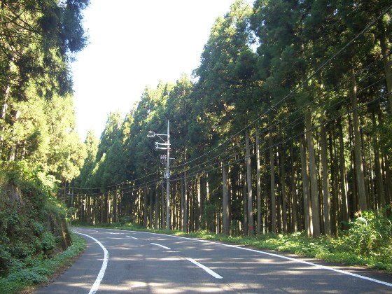 e0033713_938454.jpg