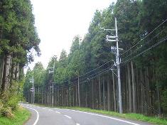 e0033713_9465657.jpg