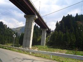 e0033713_9555429.jpg