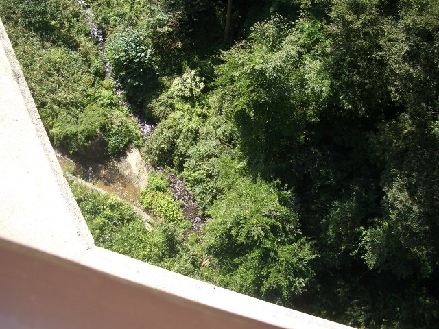 e0033713_9573870.jpg
