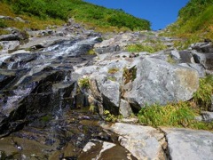 d0100314_22251438.jpg