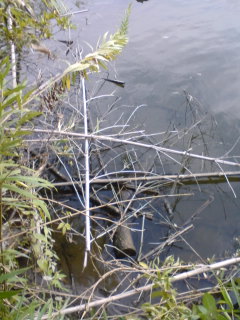 b0121015_19555531.jpg