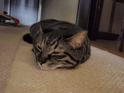 c0145016_22175585.jpg