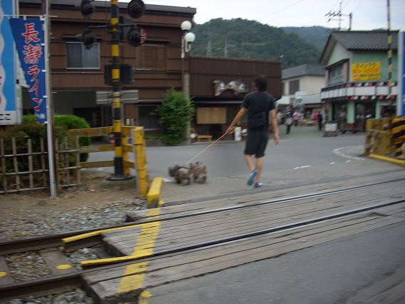 d0127716_19515938.jpg