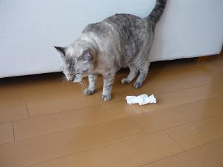 c0193017_10141392.jpg