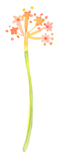 e0125722_2104250.jpg