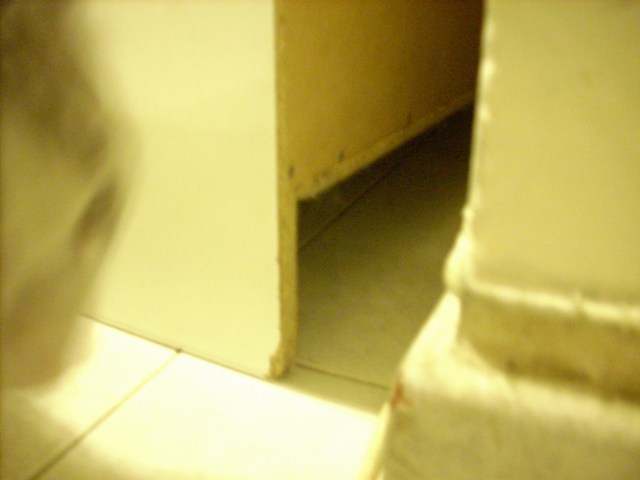 f0157724_5553256.jpg