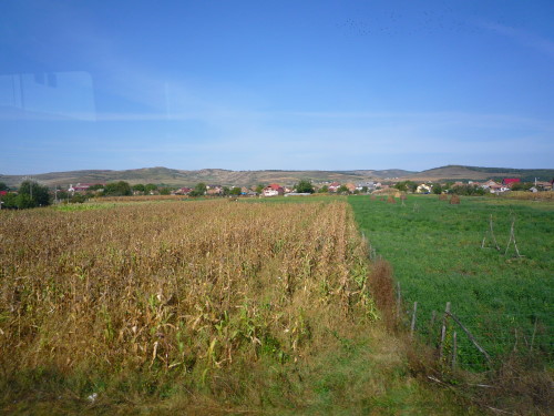 f0147025_63487.jpg