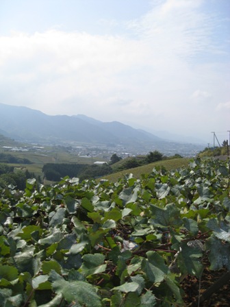 d0130927_19491566.jpg
