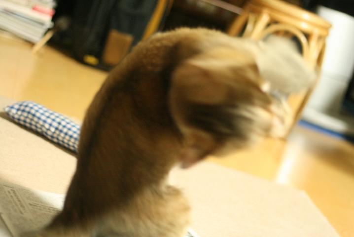 f0055228_16125444.jpg