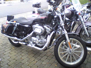 a0099129_21263226.jpg