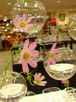 f0045630_8492326.jpg