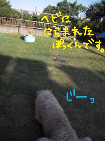 f0176830_19423068.jpg