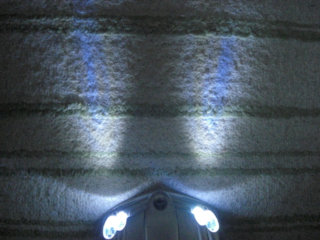 d0005632_1761527.jpg