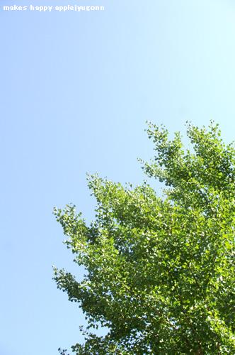 e0165434_21571360.jpg