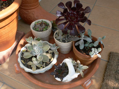 f0061334_2324558.jpg