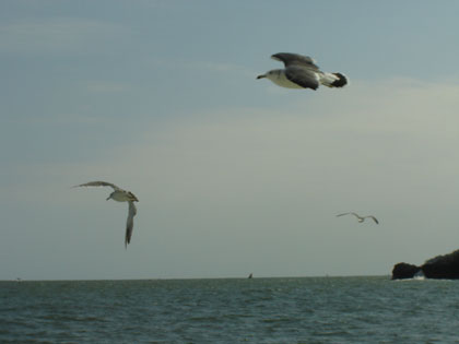 c0024135_2131056.jpg