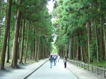 c0024135_2202593.jpg