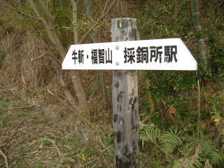c0077338_1920318.jpg