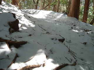 c0077338_19435361.jpg