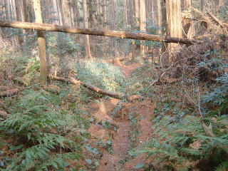 c0077338_19512256.jpg