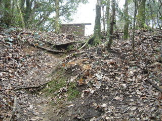 c0077338_19515378.jpg