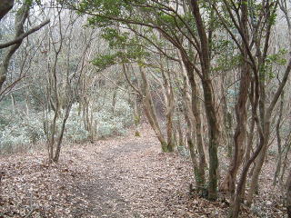 c0077338_195434100.jpg