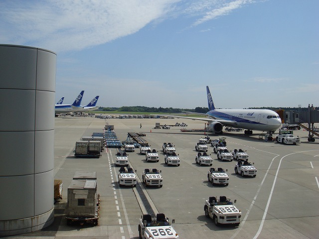 a0046339_1553637.jpg