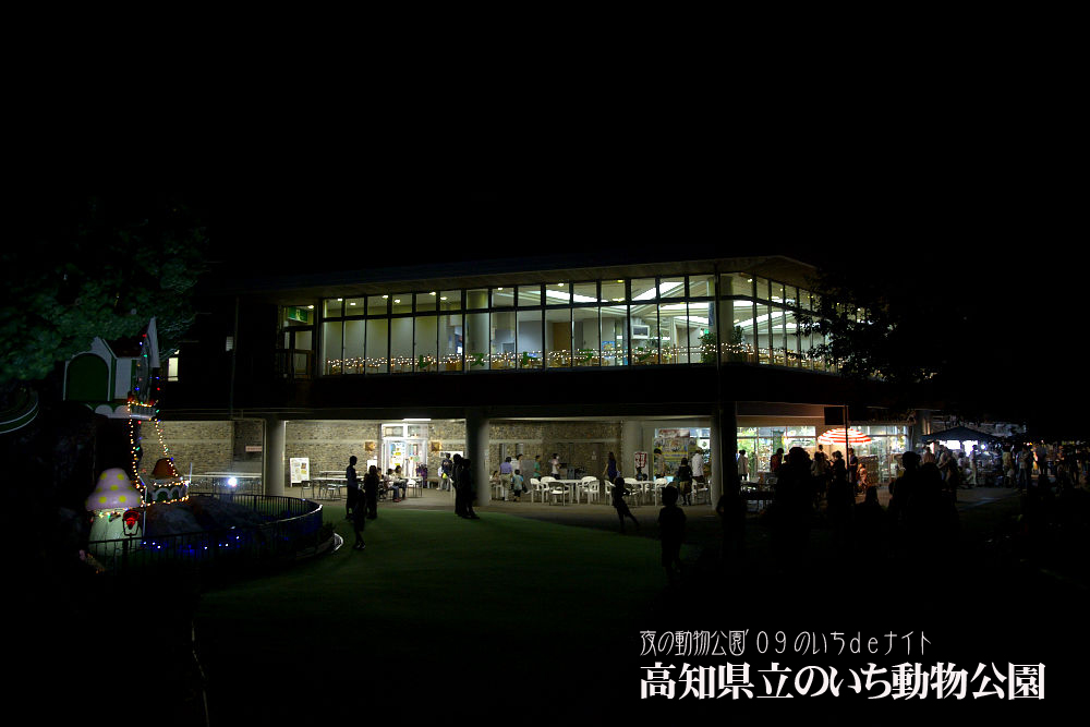 a0078341_18353748.jpg