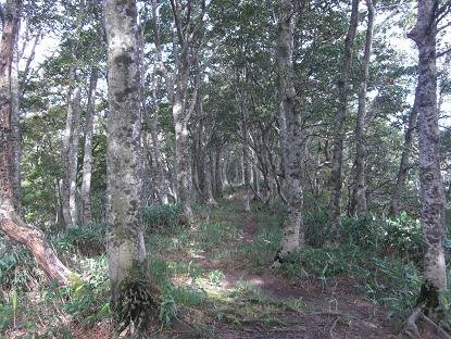 e0164643_23204154.jpg