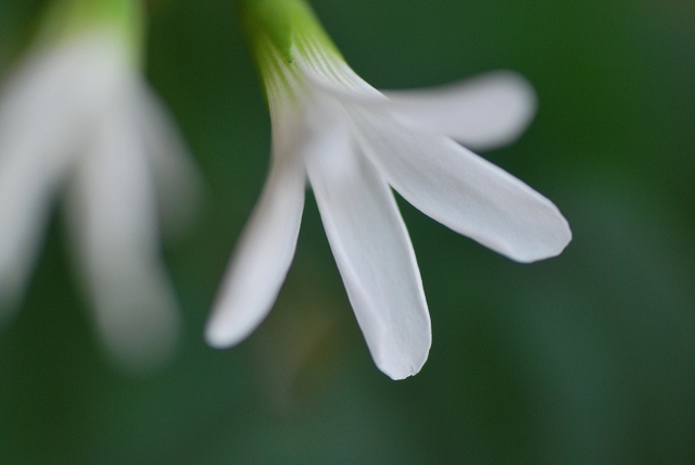 f0202445_2245070.jpg