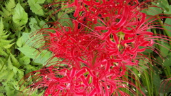 a0126046_2143375.jpg