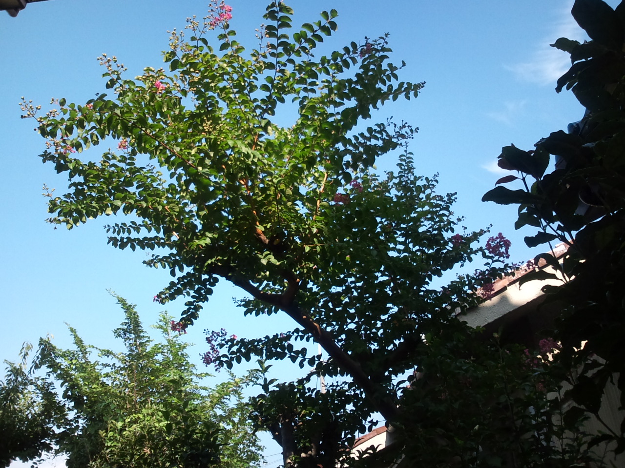 e0034047_1335417.jpg