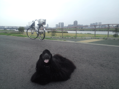 f0203249_1574451.gif