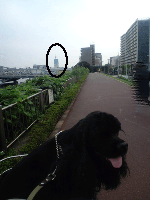 f0203249_213272.gif